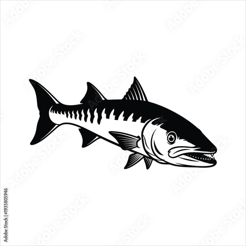 Barracuda vector black icon isolated on white background flat design
