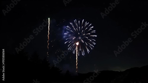 Fireworks Display at Night Sky Celebrates the Holiday.