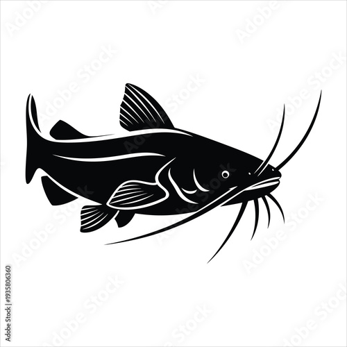 Catfish silhouette isolated on white background, black and white illustration