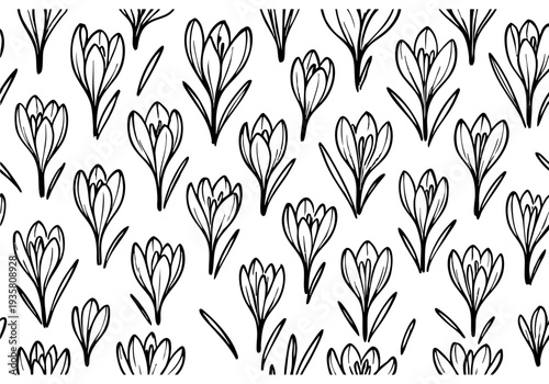 Crocus Hand Drawn Illustration Vector by AZ for Books, Arts, Design and Decoration Graphic Asset