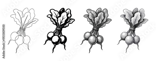 Four black and white radish illustrations set showing different graphic styles including line art, hatching, stippling, and solid ink for a vintage, hand-drawn botanical look