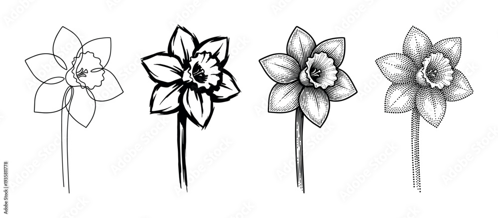 Obraz premium Set of four black daffodil flower illustrations in different artistic styles including line art, brush stroke, vintage engraving, and stippling, showing a creative botanical collection