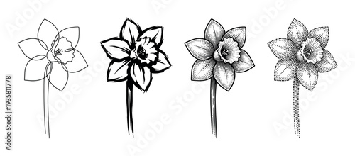 Set of four black daffodil flower illustrations in different artistic styles including line art, brush stroke, vintage engraving, and stippling, showing a creative botanical collection