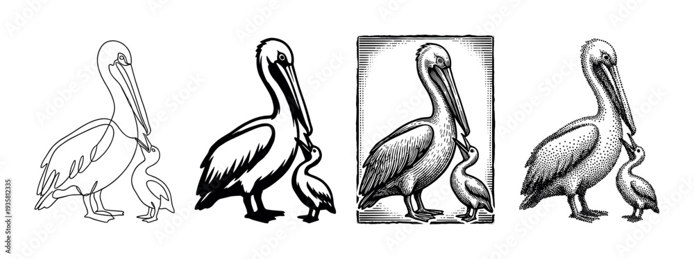 Fototapeta premium Four black and white pelican illustrations showing a mother bird feeding its chick in various artistic styles like line art, silhouette, engraving, and stippling