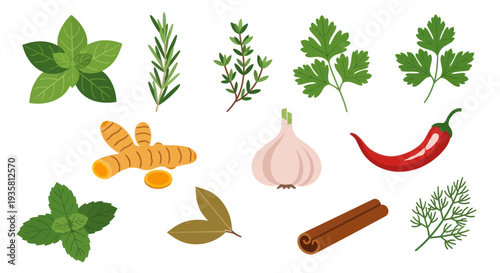 Fresh herbs and spices collection