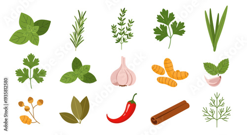 Fresh herbs and spices collection