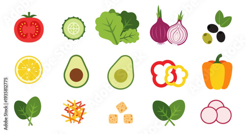 Fresh salad ingredients vector illustration
