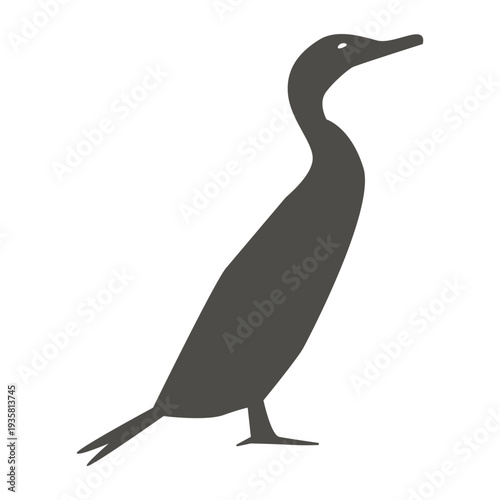 Cormorant standing silhouette