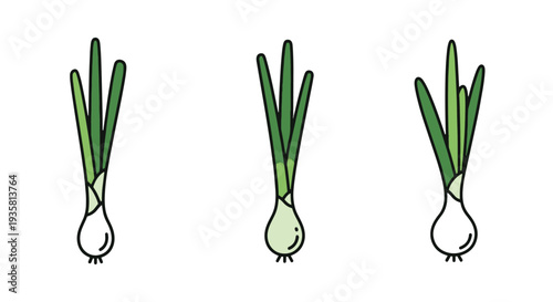 Green onion Line art vector abstract colorful design illustration