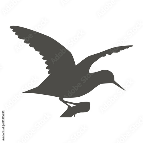 Sandpiper flying silhouette