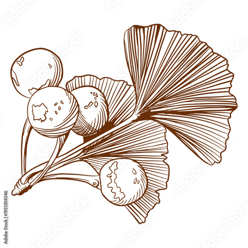 Awesome flora studies