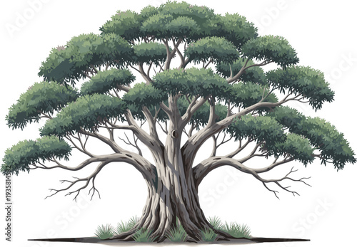 Majestic mature tree illustration, gnarled trunk, twisting branches, lush green foliage, dense canopy, natural forest design, botanical artwork, isolated background