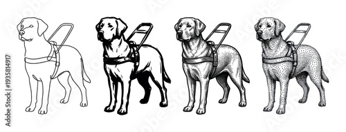 Set of four guide dog illustrations in different artistic styles including line art, ink, engraving, and stippling, showing a Labrador Retriever wearing a special harness