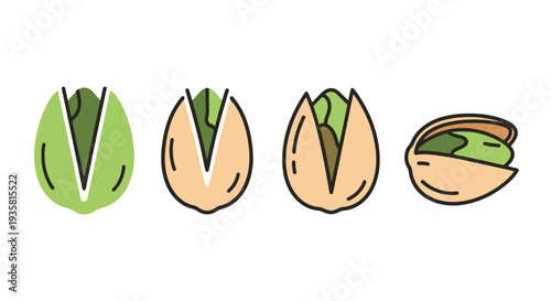 Pistachio Line art vector set clean color illustration