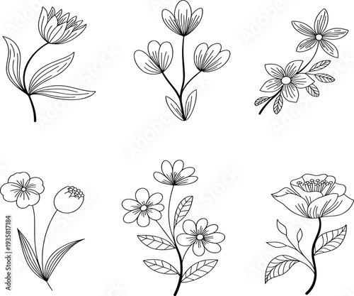 Hand drawn minimalist floral vector set with wild flowers, spring blossoms, and decorative garden botanical branch elements
