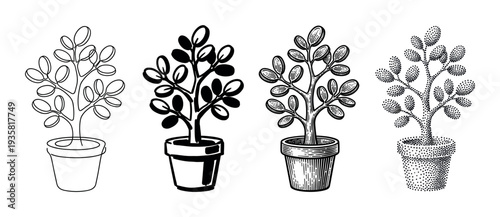 Set of four potted plant illustrations showing different artistic techniques including continuous line drawing, bold silhouette, detailed engraving, and stippling