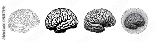 Set of four human brain illustrations in different monochrome artistic styles including line art, silhouette, vintage engraving, and modern stippling for scientific concepts