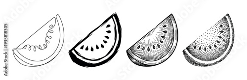 Four black and white watermelon slice illustrations showing different artistic styles including continuous line art, brush stroke, engraving, and stippling in a collection