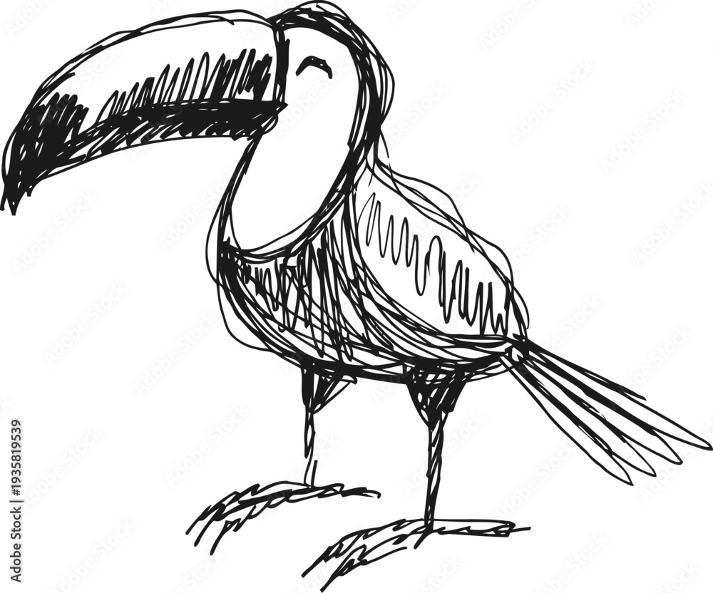 Fototapeta premium hand drawn toucan sketch with large beak and detailed feather lines on white background