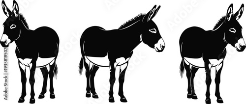 Donkey silhouette set vector illustration, farm animal mule standing side view livestock rural agriculture domestic animal black and white design collection