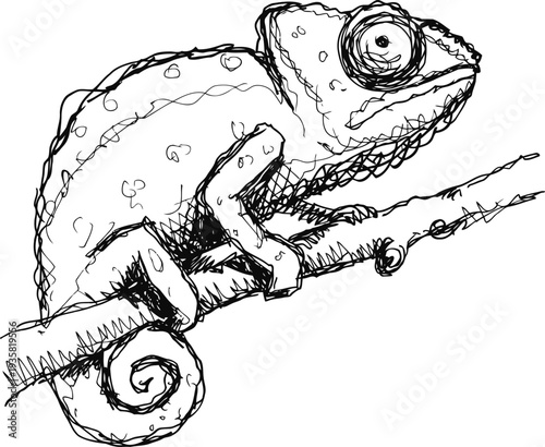 Chameleon perched on a branch sketch drawing of lizard with curled tail and textured skin