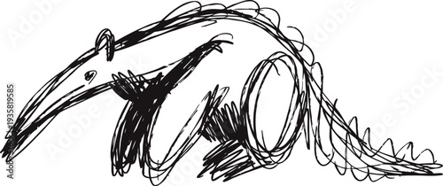 Hand drawn anteater illustration simple black ink sketch of animal in dynamic pose on white background