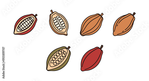Cocoa pod Line art vector set creative modern color illustration