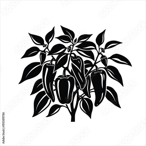 Pepper plant with fruits black and white vector graphic