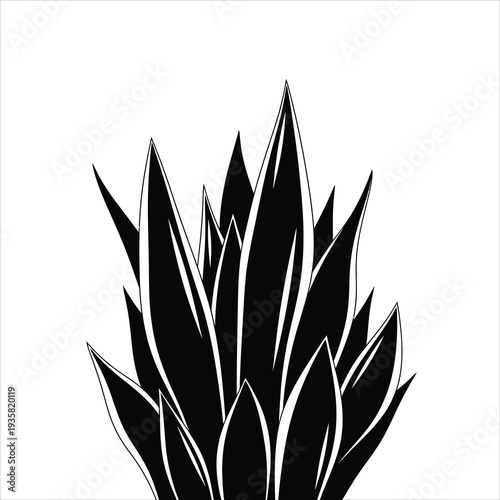 Stylized black and white vector illustration of a plant with pointed leaves
