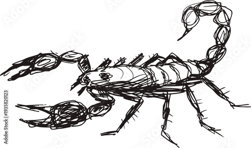 Hand drawn scorpion sketch with detailed pincers and curved tail, black ink illustration