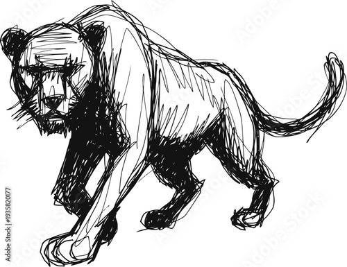 Hand drawn sketch of a fierce big cat in walking pose with detailed fur texture and muscular body
