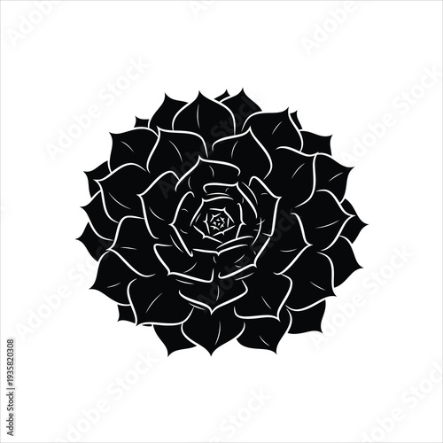 Succulent rosette black silhouette vector illustration isolated art