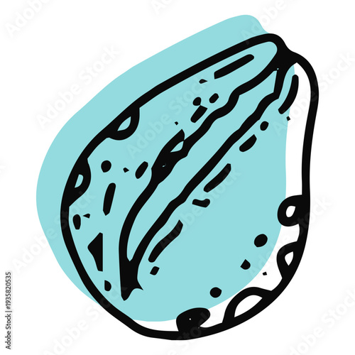 Blue color mollusc stroke