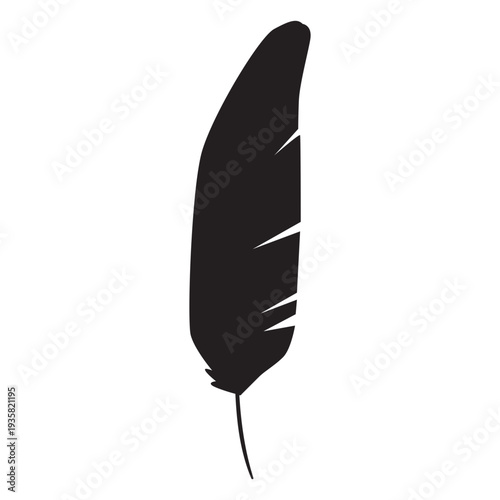 Gentle feather silhouette