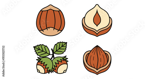 Hazelnut Line art vector set creative modern abstract illustration