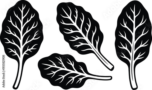 Spinach Leaves Silhouette Vector Illustration Isolated on White Background