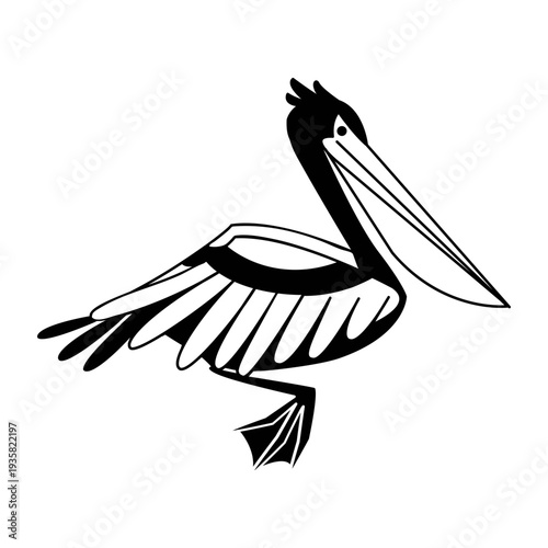 Pelican swimming stylish black