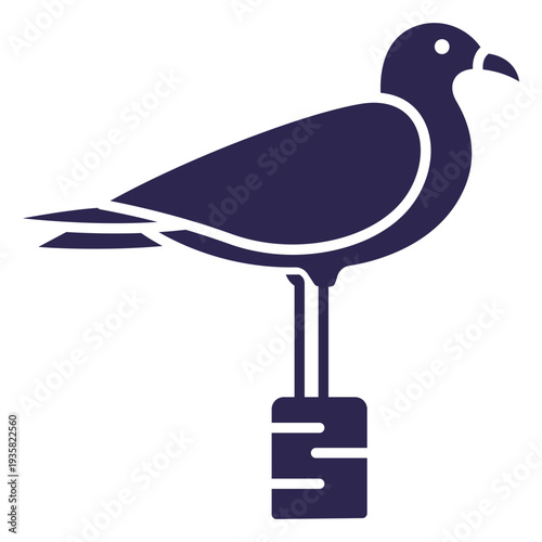Seagull bird black