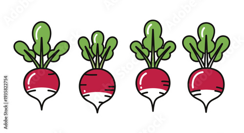 Radish Line art vector set creative abstract style