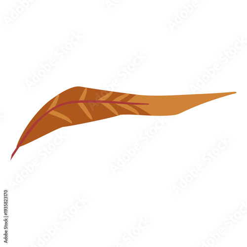 Boho brown colored feather