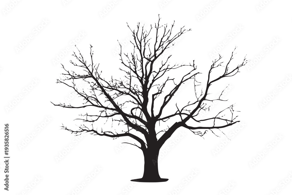 Fototapeta premium Silhouetted tree stands stark against a pure white background.