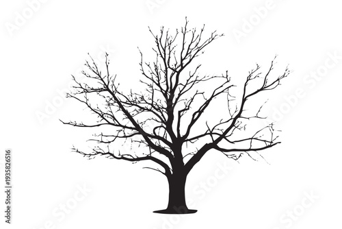 Silhouetted tree stands stark against a pure white background.
