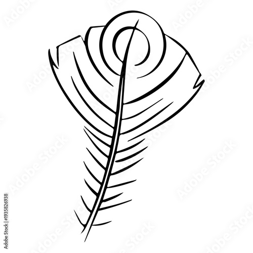 Quirky shape feather