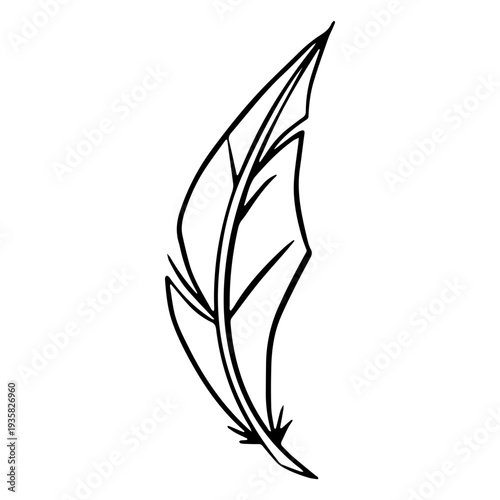 Simple feather drawn