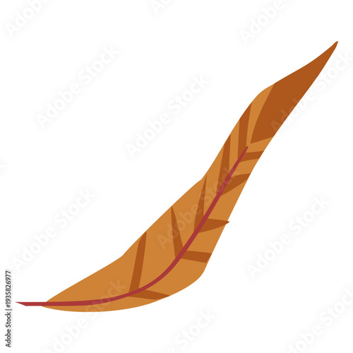 Simple brown colored feather