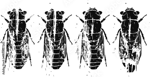 black and white illustration of cicadas in different wing positions with detailed segmented bodies