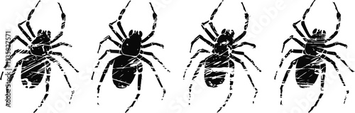 Four black spiders with detailed legs and body silhouettes isolated on white background