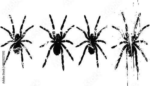 black tarantula spiders silhouette set showing different postures isolated on white background