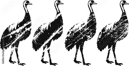 emu silhouette set four walking emus with textured black and white details australian bird wildlife collection