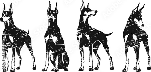 four stylized doberman pinscher dogs in black and white artistic silhouette design